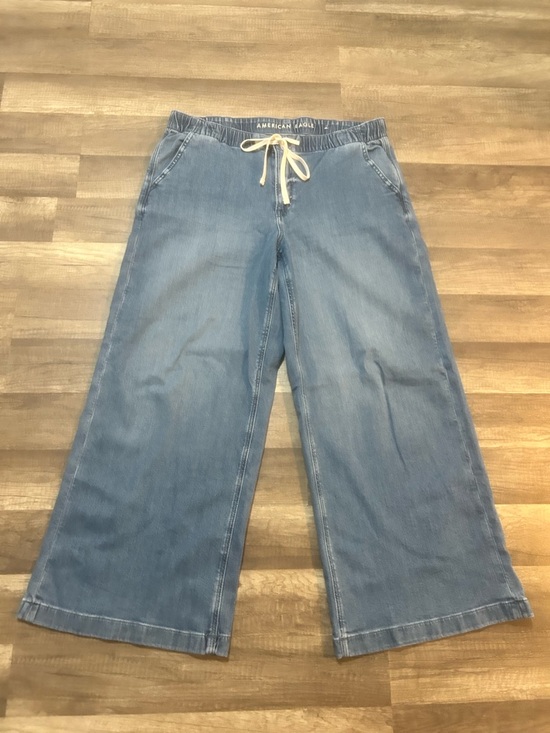 American Eagle Outfitters Denim - American Eagle Outfitters Light Blue Wide-Leg Drawstring Jeans Large